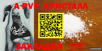 спиды Сланцы