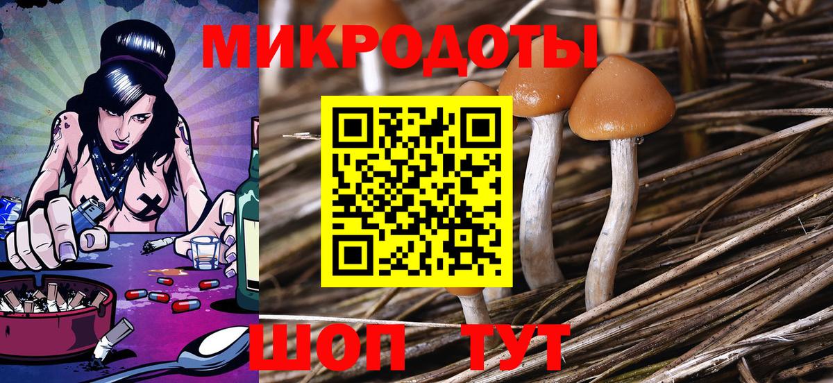 Псилоцибиновые грибы Psilocybe Норильск