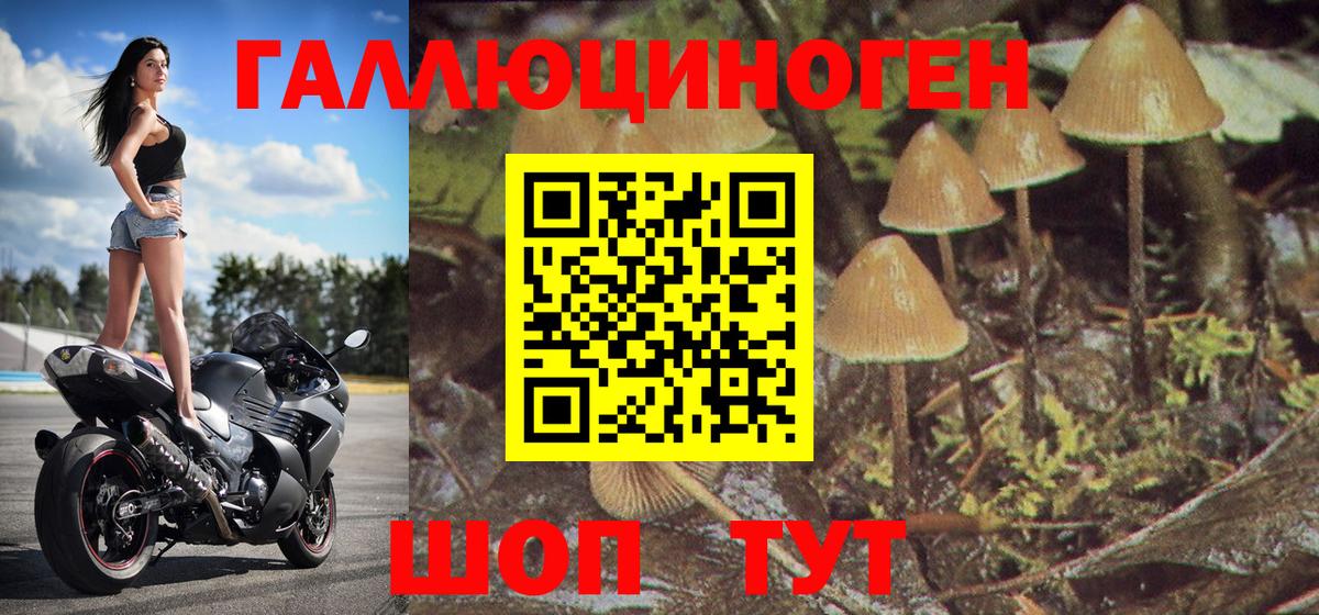 Галлюциногенные грибы Psilocybe  Псилоцибиновые грибы прущие грибы  Норильск  Вход с VPN 